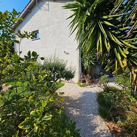 Superbe Maison Avec Piscine En Centre Vila *