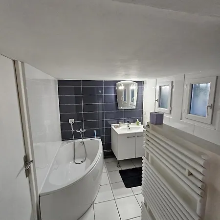 ヴィラ Superbe Maison Avec Piscine En Centre ナルボンヌ
